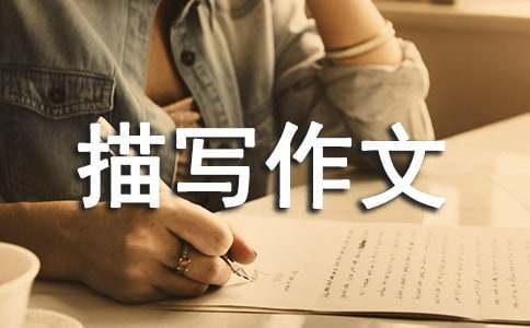 如何通过心理辅导提升篮球轮换训练的效果_1